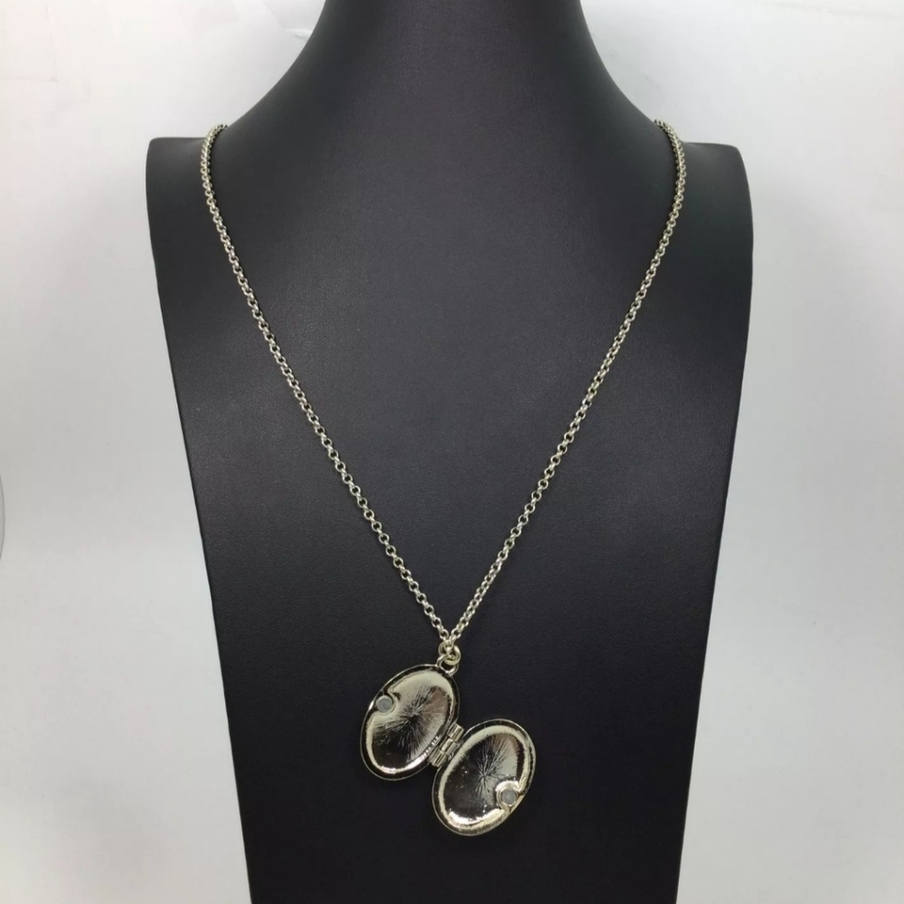 Ann Taylor Oval Locket Pendant Long Chain Necklace NWT - Picture 2 of 6